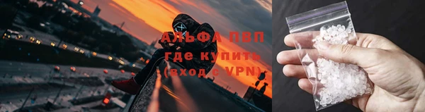 мяу мяу мука Абаза