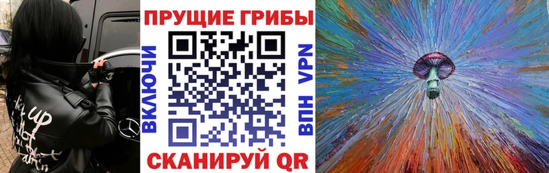 купить закладку  Подпорожье  MEGA зеркало  Галлюциногенные грибы MAGIC MUSHROOMS 