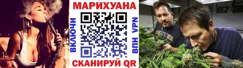 что такое наркотик Подпорожье Конопля сатива